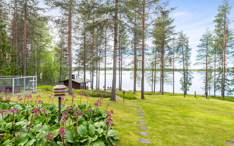 Järvelä: Erba, Verde, Arbusto, Giardino, Paesaggio, Lotto, Groundcover, Primavera, Landscaping