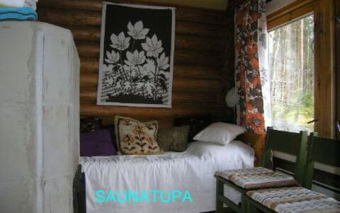 Elsanranta: Legna, Villetta, Log Cabin, Foresta, Capannone, Edifici Giardino, Larice, Woodland, Color Legno