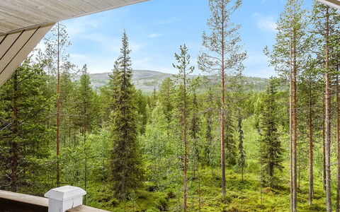 Kiela 1: Legna, Villetta, Log Cabin, Foresta, Capannone, Edifici Giardino, Larice, Woodland, Color Legno