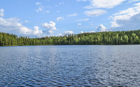 Lekojärven Herra: Villetta, Casa, Casa, Edifici Giardino, Raccordo, Log Cabin, Agriturismo, Estate, Capannone, Cortile