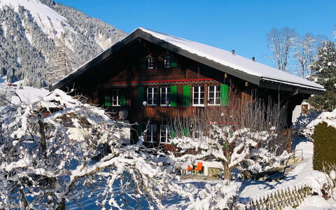 Träumli: Cielo, Neve, Casa, Paesaggio Naturale, Pendenza, Montagna, Legna, Paesaggio, Costruzione, Pianta