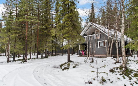Kaltiotievantie 2 Mökki 2: Albero, Ramo, Legna, Neve, Casa, Inverno, Villetta, Casa, Tetto, Congelamento
