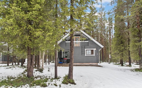 Kaltiotievantie 2 Mökki 2: Albero, Legna, Ramo, Casa, Villetta, Casa, Inverno, Congelamento, Raccordo, Woodland