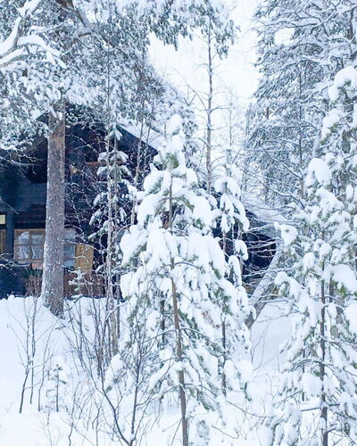 Tievankivi