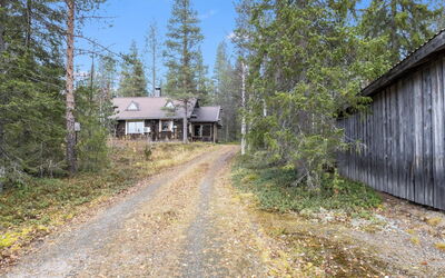 Tunturitähti, Lainio