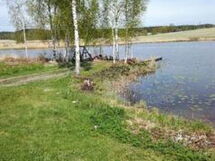 Koivuranta