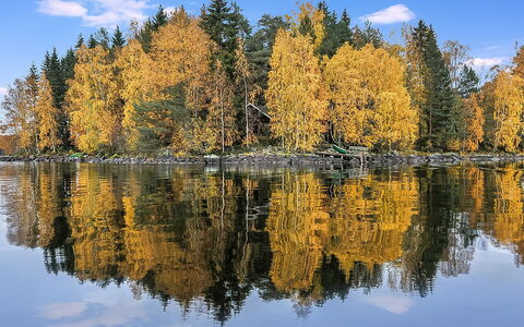 Kärkimökki: Albero, Banca, Casa, Villetta, Lago, Stagno, Foresta, Log Cabin