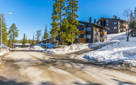 Karhunvartijan Linna C22: Legna, Raccordo, Villetta, Casa, Casa, Plank, Edifici Giardino, Log Cabin, Latifoglie, Portico