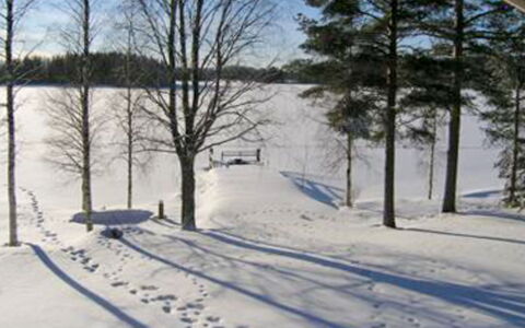 Suviranta: Albero, Banca, Casa, Villetta, Lago, Stagno, Foresta, Log Cabin