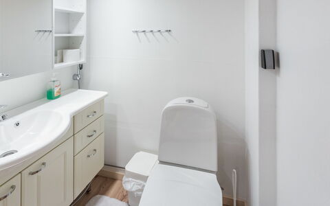 Ylläksen Sirppikuu 2: Idraulico Fixture, Interior Design, Pavimentazione, Lavandino Del Bagno, Pavimento, Bagno, Gabinetto, Toilet Seat, Lavello, Mobiletto Del Bagno