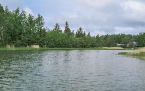 Villa Petra: Legna, Villetta, Log Cabin, Foresta, Capannone, Edifici Giardino, Larice, Woodland, Color Legno