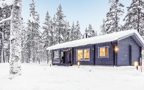 Aarrekammi: Legna, Villetta, Log Cabin, Foresta, Capannone, Edifici Giardino, Larice, Woodland, Color Legno