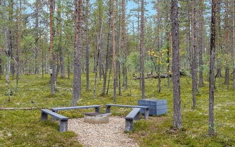 Aarrekammi: Legna, Villetta, Log Cabin, Foresta, Capannone, Edifici Giardino, Larice, Woodland, Color Legno