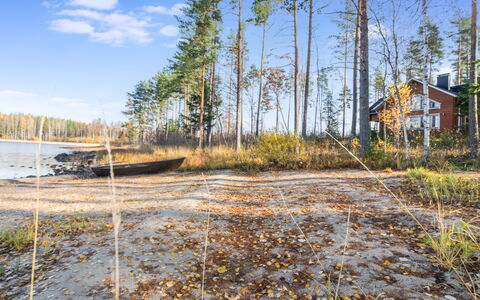 Telkkä: Legna, Villetta, Log Cabin, Foresta, Capannone, Edifici Giardino, Larice, Woodland, Color Legno