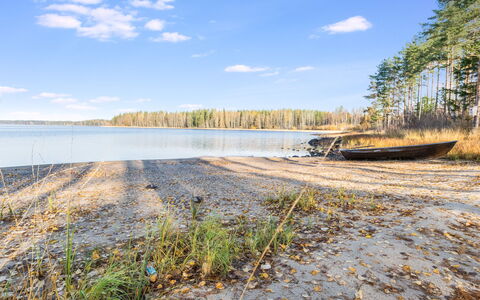 Telkkä: Legna, Villetta, Log Cabin, Foresta, Capannone, Edifici Giardino, Larice, Woodland, Color Legno