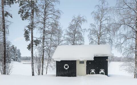 Inninniemi: Legna, Villetta, Log Cabin, Foresta, Capannone, Edifici Giardino, Larice, Woodland, Color Legno