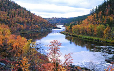 Keskiniemi