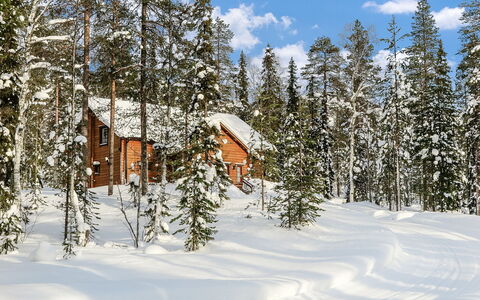 Tervakko: Villetta, Casa, Casa, Edifici Giardino, Raccordo, Log Cabin, Agriturismo, Estate, Capannone, Cortile