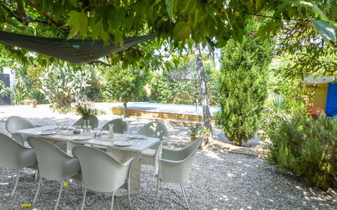 Ave de Paso: Pianta, Comunita 'Impianto, Shade, Mobili Da Esterno, Sedia, Albero, Tempo Libero, Erba, Tavolo, Tinte E Ombre