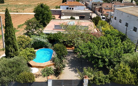 Ave de Paso: Pianta, Proprietà, Costruzione, Finestra, Albero, Vegetazione, Urban Design, Biome, Quartiere, Paesaggio