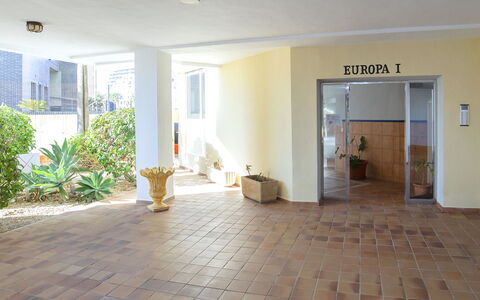 Europa i: Pianta, Proprietà, Vaso Di Fiori, Pianta Della Casa, Costruzione, Finestra, Interior Design, Legna