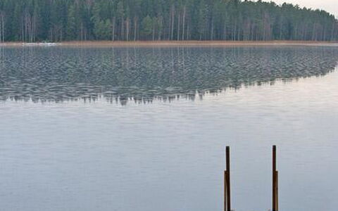 Kopinkallio 1: Albero, Banca, Casa, Villetta, Lago, Stagno, Foresta, Log Cabin