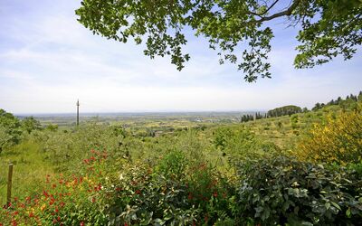 Panoramic view