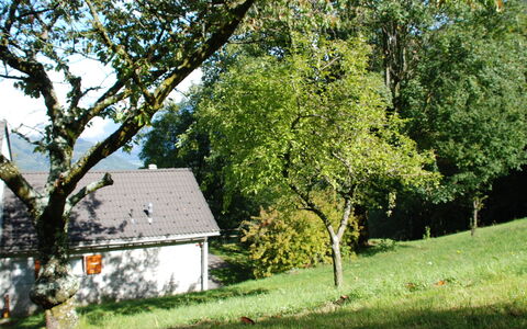 La Cassìna: Albero, Casa, Proprietà, Villetta, Casa, Woody Impianto, Agriturismo, Area Rurale, Lotto, Erba