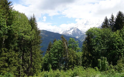 Le Taguy: Geografia Montane, Montagna, Paesaggio Naturale, Natura, Natura Selvaggia, Albero, Catena Montuosa, Highland, Vegetazione, Ambiente Naturale