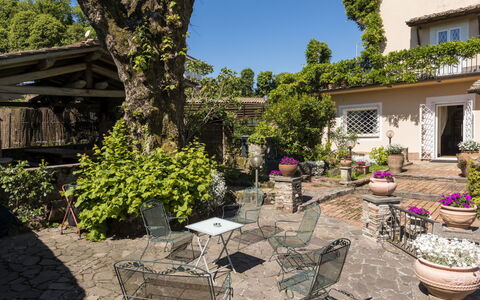 Rocca di Papa 102: Arbusto, Mobilia, Vaso Di Fiori, Giardino, Mobili Da Esterno, Primavera, Sedia, Tavolo Esterno, Shade