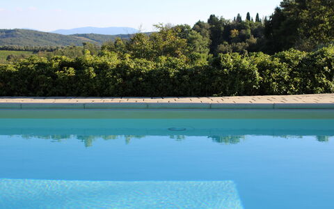 Gli Appartamenti Di Manuela: Acqua, Cielo, Piscina, Azzurro, Rettangolo, Paesaggio Naturale, Albero, Vegetazione, Pianta, Erba