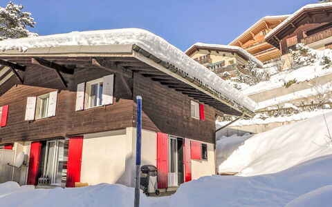 Chalet Butz: Costruzione, Cielo, Finestra, Neve, Casa, Pendenza, Mondo, Congelamento, Facciata, Legna