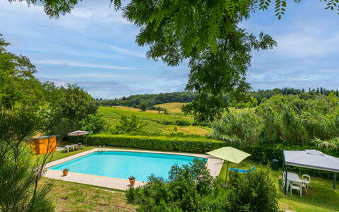 Castellina in Chianti 975: Acqua, Pianta, Nube, Cielo, Piscina, Azzurro, Shade, Paesaggio Naturale, Albero, Rettangolo