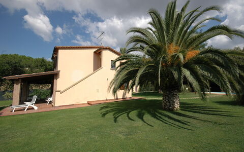 Poderino: Proprietà, Palma, Casa, Erba, Arecales, Albero, Casa, Immobiliare, Attalea Speciosa, Costruzione