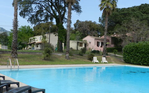 Cavoni: Piscina, Proprietà, Casa, Ricorrere, Immobiliare, Casa, Vacanza, Costruzione, Tempo Libero, Estate