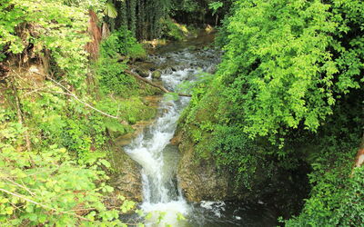 La Furnaseta