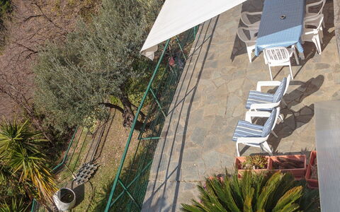 Villa Pia Con Piscina a Recco: Vegetazione, Parete, Architettura, Botanica, Albero, Casa, Pianta, Tetto, Fenomeno Geologico, Vacanza