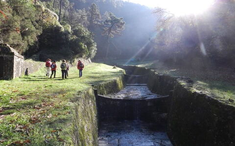 La Piccola Margherita: Paesaggio Naturale, Montagna, Natura Selvaggia, Fenomeno Atmosferico, Cielo, Mattina, Hill Station, Albero, Turismo, Paesaggio