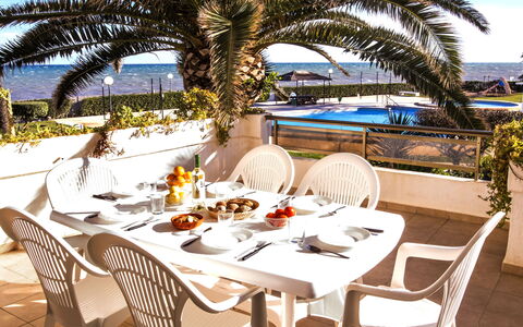 Laguna Beach Plus: Tavolo, Pianta, Mobilia, Proprietà, Cielo, Sedia, Tavola, Albero, Mobili Da Esterno, Arecales