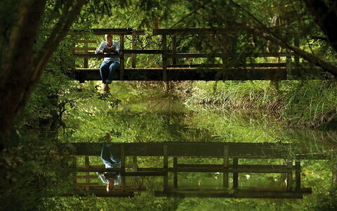 Ca' Marcello: Natura, Verde, Albero, Riserva Naturale, Ambiente Naturale, Paesaggio Naturale, Foresta, Erba