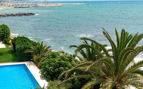 Acuario: Vegetazione, Palma, Azzurro, Proprietà, Albero, Mare, Turchese, Tropici, Arecales, Oceano