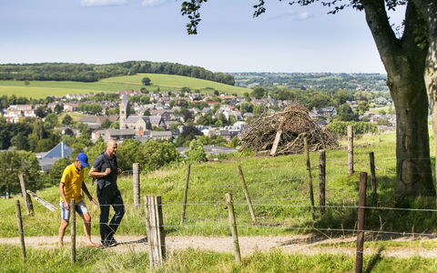 Bungalowpark Landsrade: Pianta, Cielo, Comunita 'Impianto, Albero, Nube, Paesaggio Naturale, Erba, Pascolo, Tempo Libero
