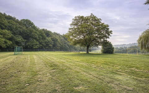 Bungalowpark Landsrade: Erba, Albero, Ambiente Naturale, Pascolo, Plain, Lotto, Prato, Campo, Prato