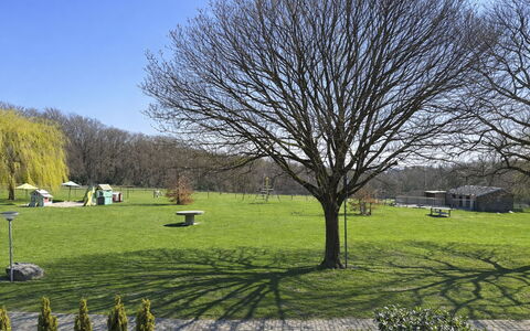 Bungalowpark Landsrade: Erba, Albero, Foglia, Ramo, Pascolo, Plain, Prato, Tronco, Giardino