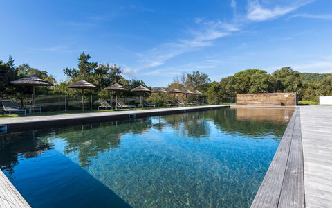 Porto Vecchio 150: Acqua, Cielo, Risorse Idriche, Nube, Blu, Pianta, Azzurro, Albero, Piscina, Paesaggio Naturale
