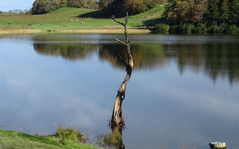 Lake District Coastal Cottage: Corpo D'Acqua, Risorse Idriche, Paesaggio Naturale, Acqua, Lago, Stagno, Serbatoio, Riflessione, Banca, Lago
