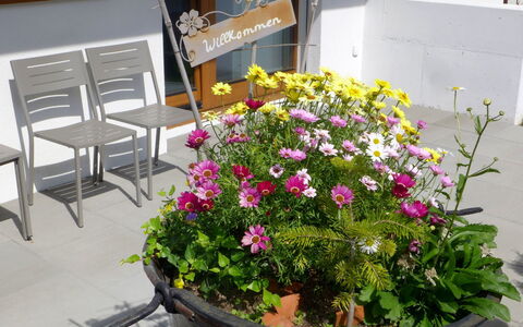 Chalet la Muntaniala: Fiore, Vaso Di Fiori, Pianta, Pianta Della Casa, Fiorai, Pianta Fiorita, Pianta Annuale, Giardino, Arbusto, Disegno Floreale