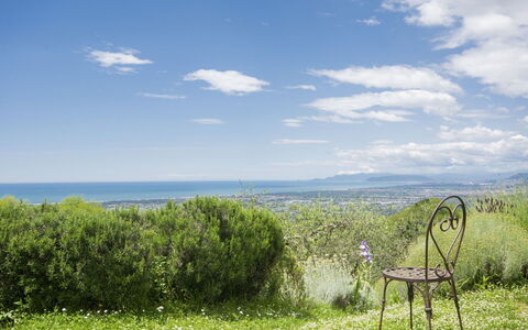Casaccia: Paesaggio Naturale, Natura, Verde, Pascolo, Cielo, Vegetazione, Erba, Prato, Ambiente Naturale, Pascolo