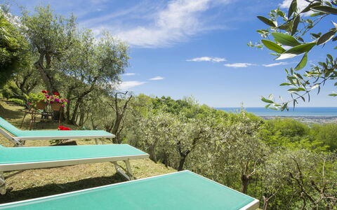 Casaccia: Proprietà, Piscina, Vegetazione, Paesaggio Naturale, Cielo, Ricorrere, Vacanza, Casa, Immobiliare, Albero