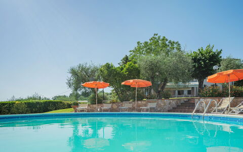 Villa le Casette: Acqua, Pianta, Cielo, Piscina, Ombrello, Azzurro, Albero, Mobili Da Esterno, Sedia, Tempo Libero
